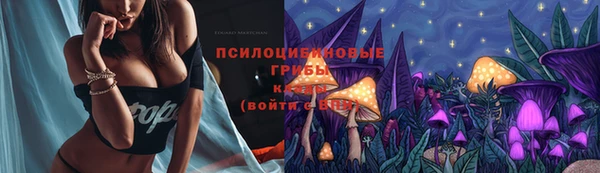 МДПВ Вязники