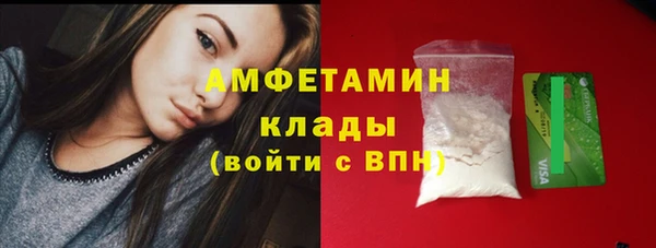 скорость Вяземский