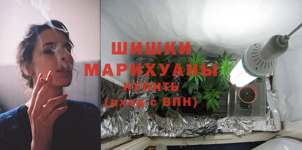 скорость Вяземский